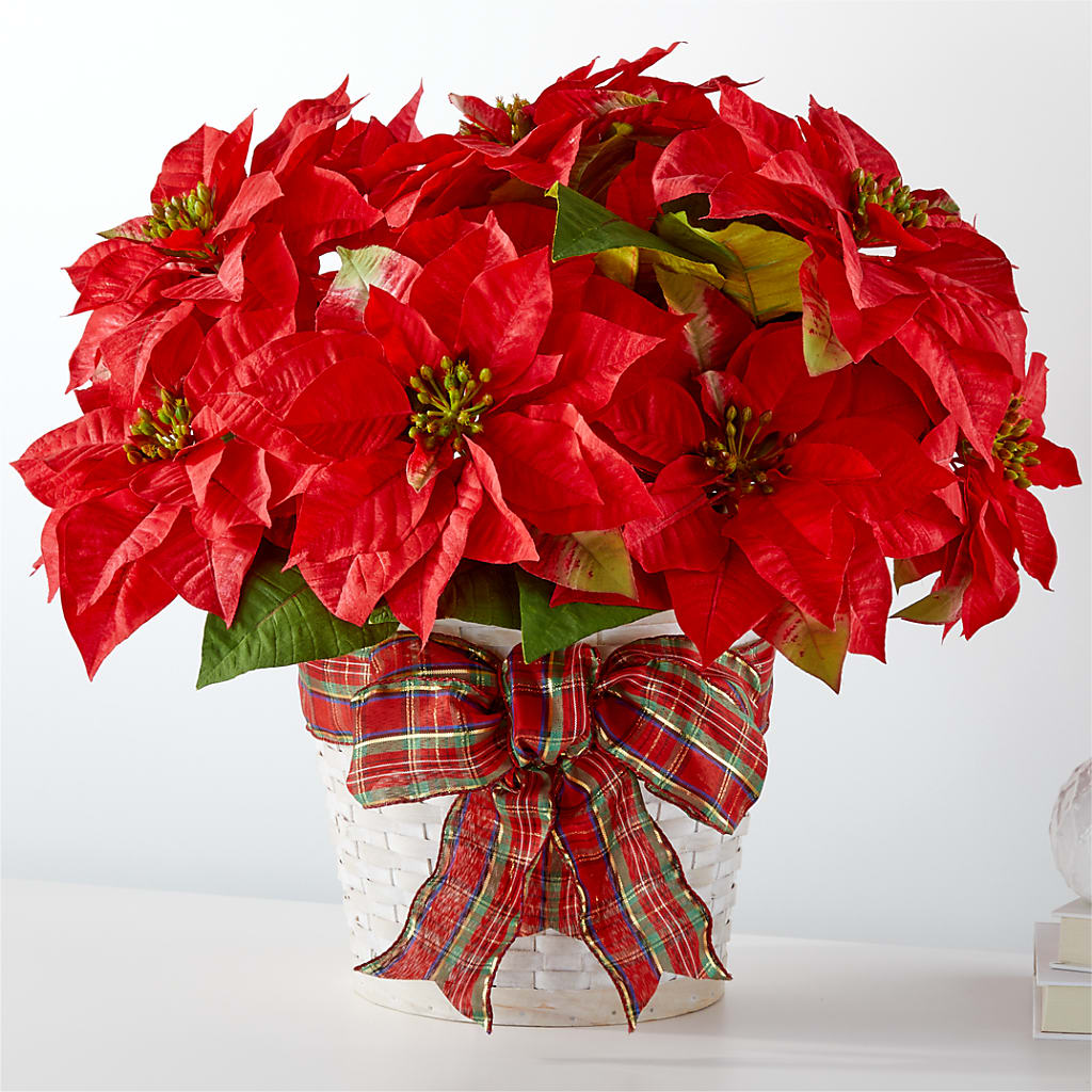 Happiest Holidays Poinsettia – Farmington Center Florist Inc, Farmington MI