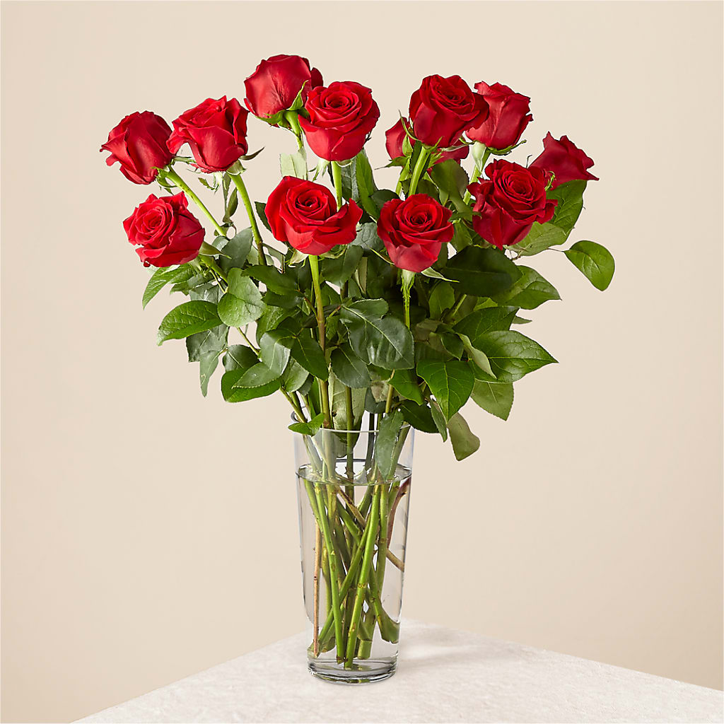 Long Stem Red Rose Bouquet – Farmington Center Florist Inc, Farmington MI