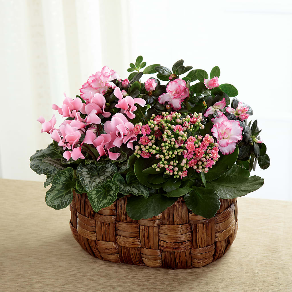 Pink Assortment – Farmington Center Florist Inc, Farmington MI