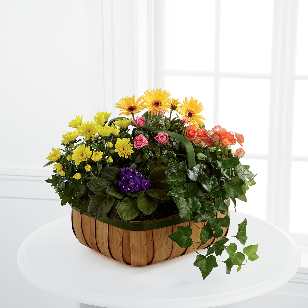 Gentle Blossoms Basket – Farmington Center Florist Inc, Farmington MI
