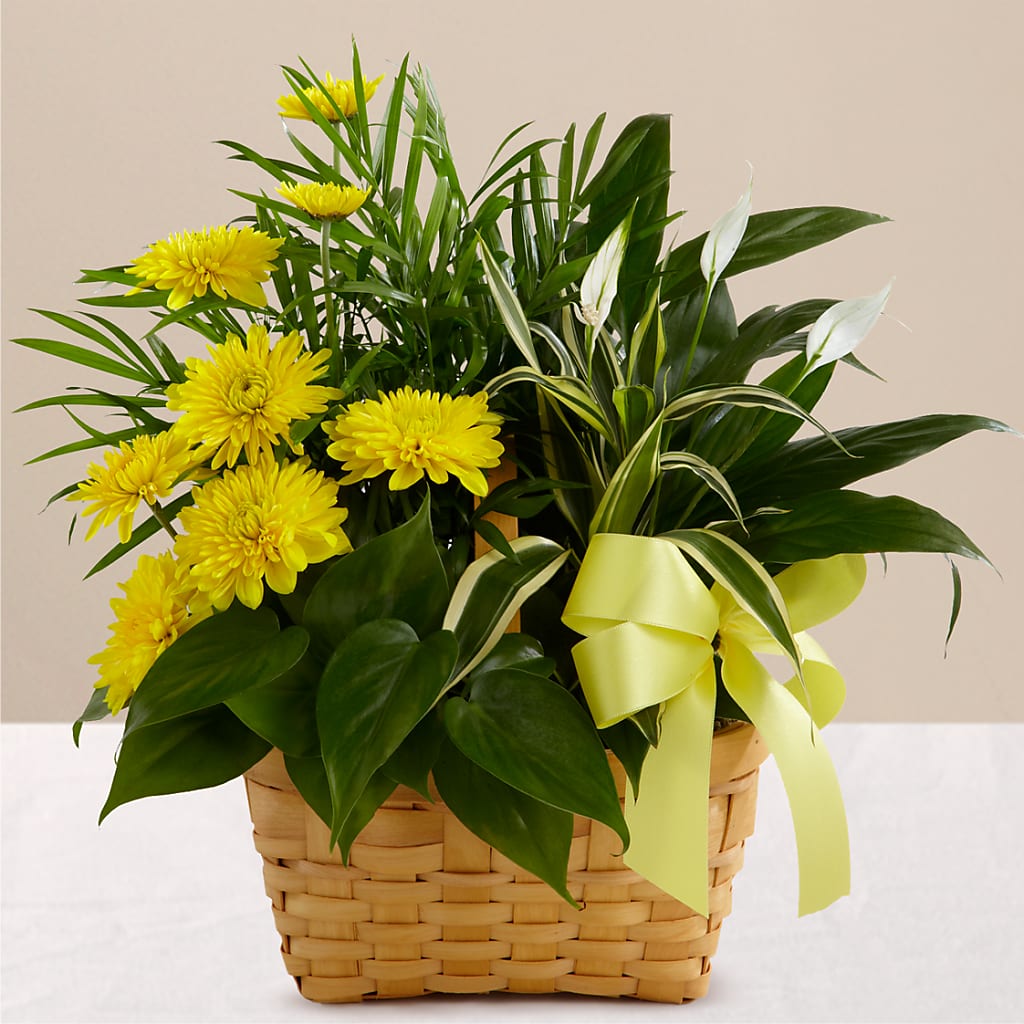 Loving Light Dishgarden – Farmington Center Florist Inc, Farmington MI
