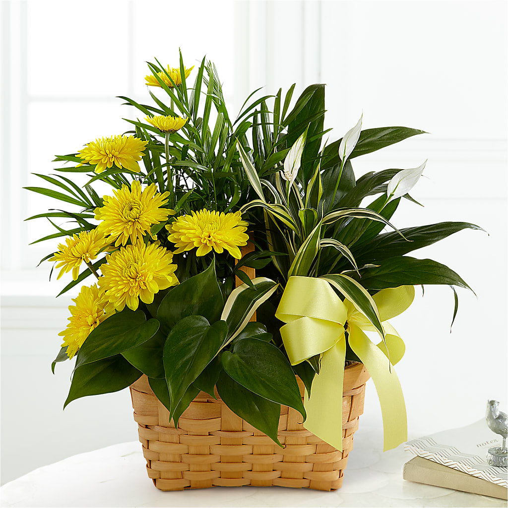 Loving Light Dishgarden – Farmington Center Florist Inc, Farmington MI