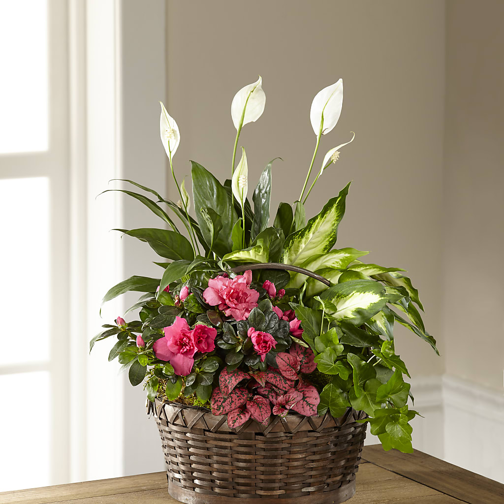 Dream in Pink Dishgarden – Farmington Center Florist Inc, Farmington MI