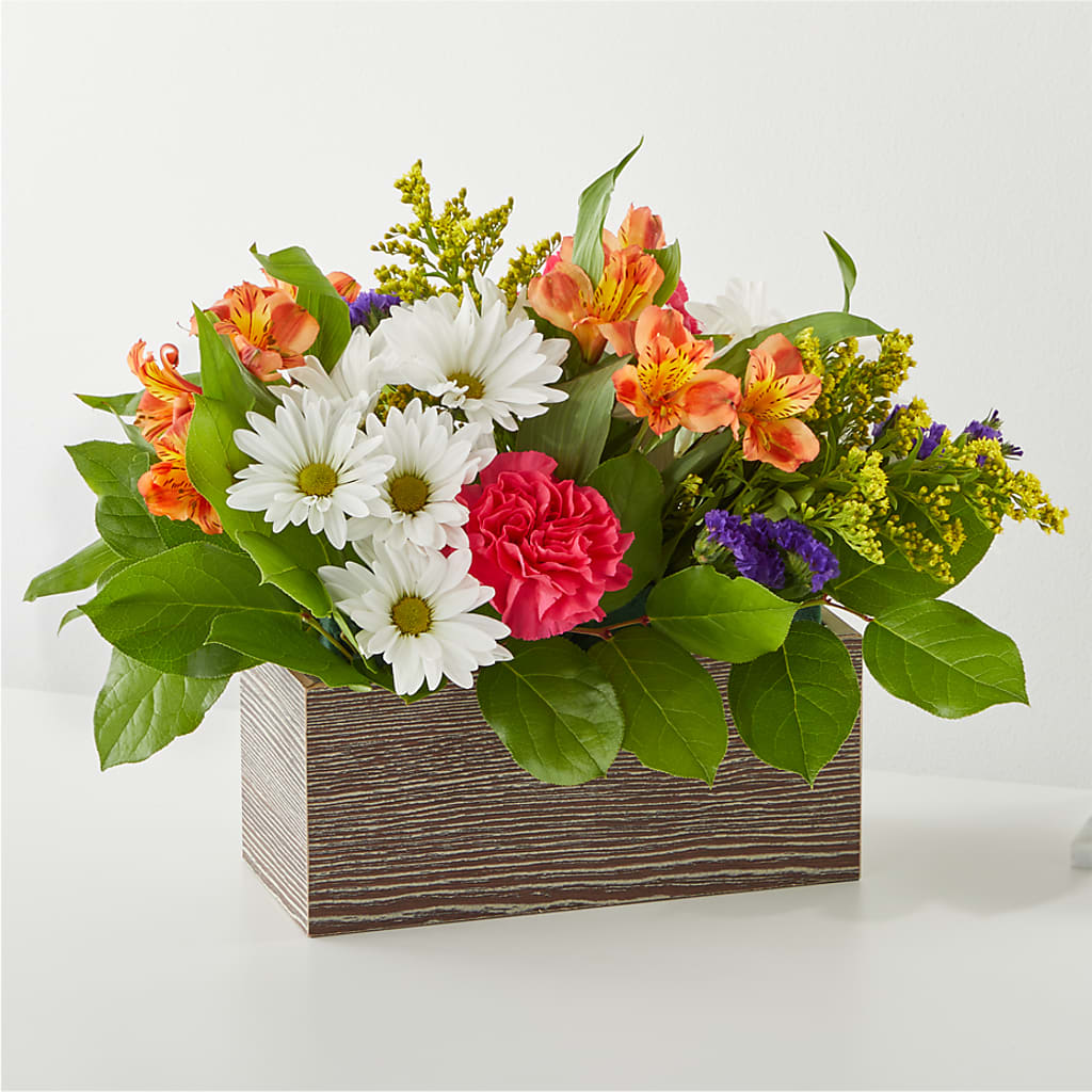 Oopsie Daisy Box Bouquet – Farmington Center Florist Inc, Farmington MI