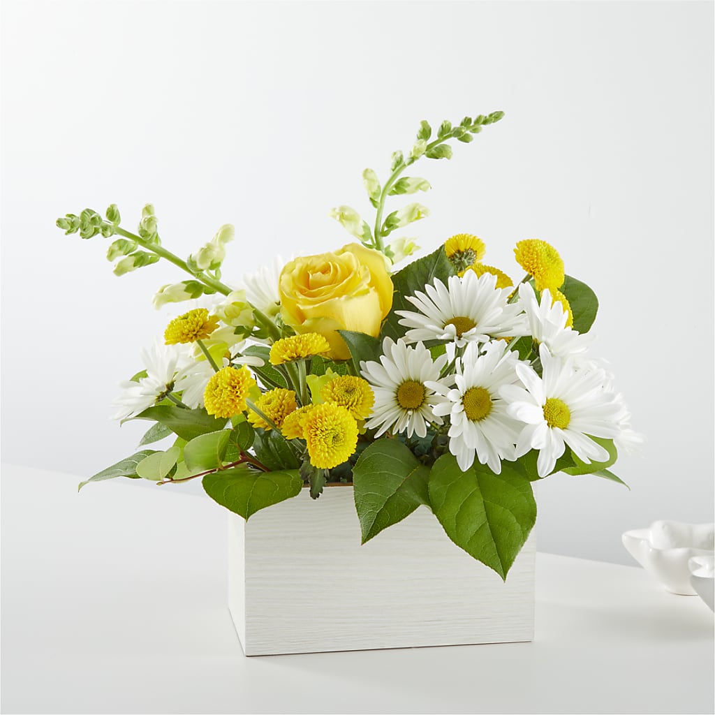 Sun Salutation Box Bouquet – Farmington Center Florist Inc, Farmington MI