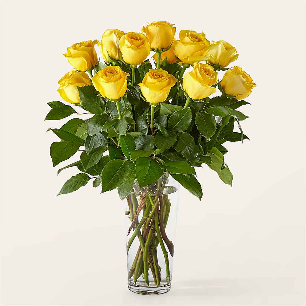 Long Stem Yellow Rose Bouquet – Farmington Center Florist Inc, Farmington MI