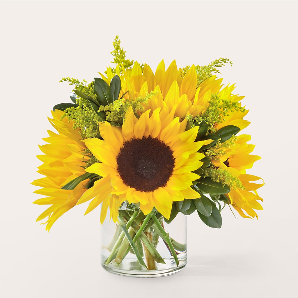 Beaming Sunflower Bouquet – Farmington Center Florist Inc, Farmington MI