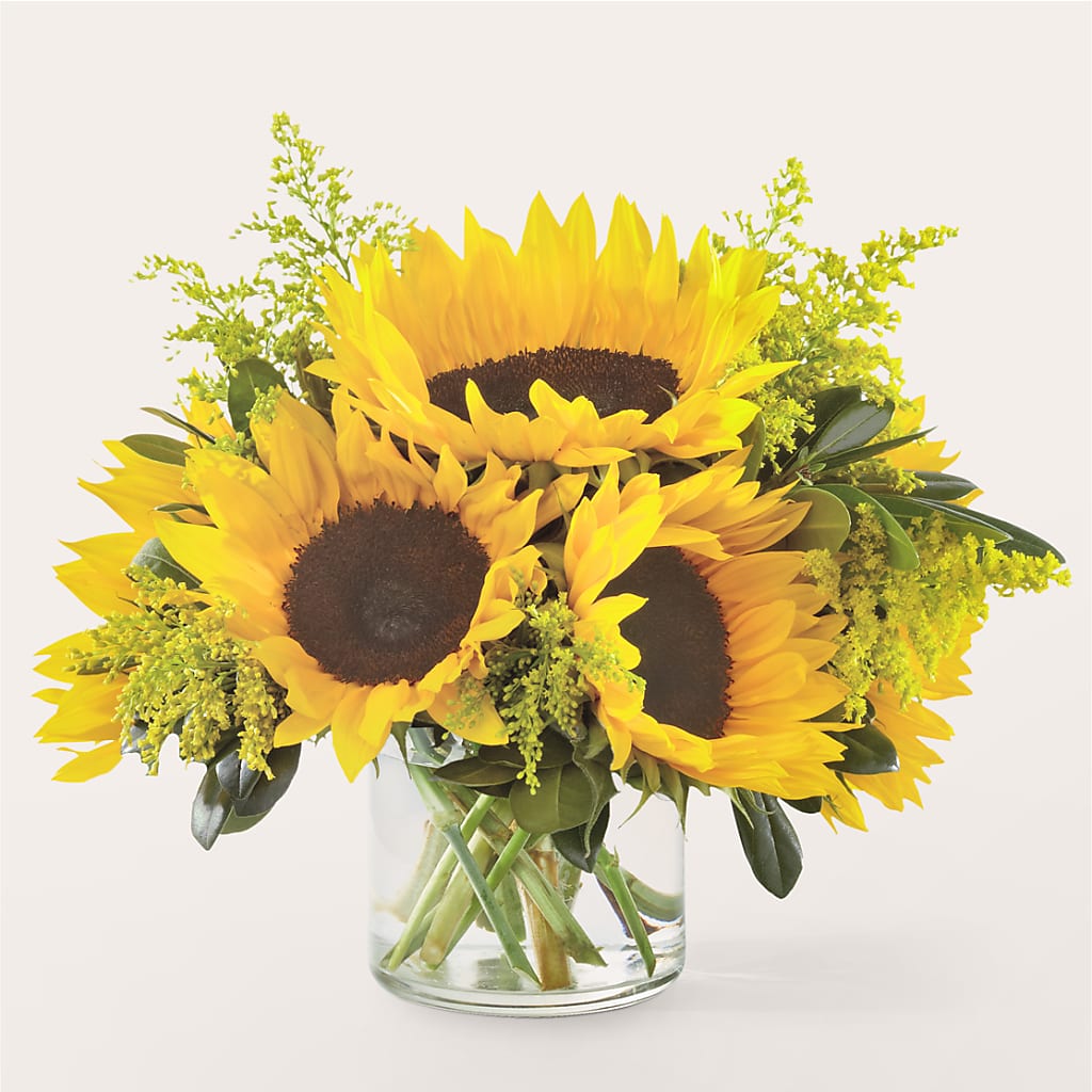 Beaming Sunflower Bouquet – Farmington Center Florist Inc, Farmington MI