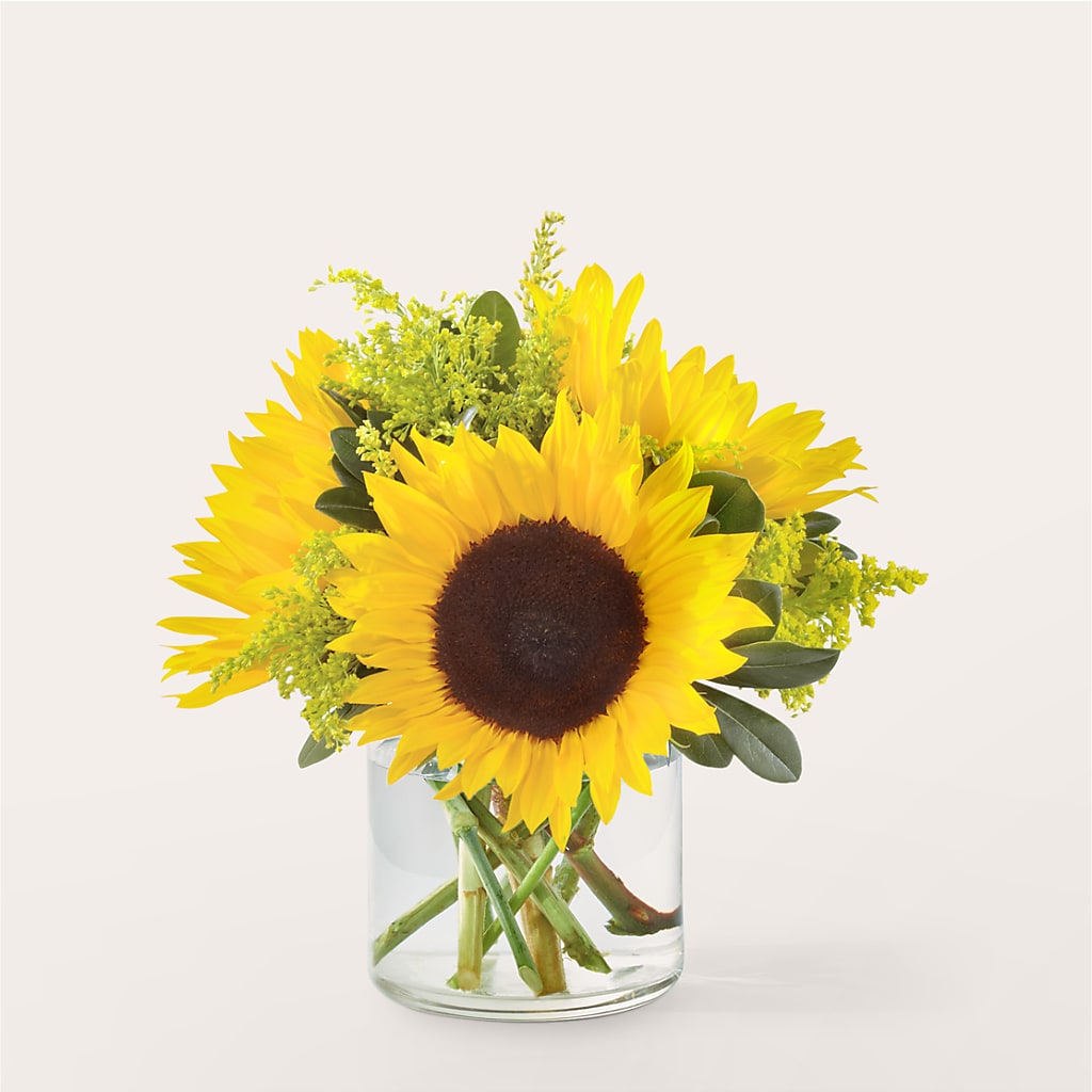Beaming Sunflower Bouquet – Farmington Center Florist Inc, Farmington MI
