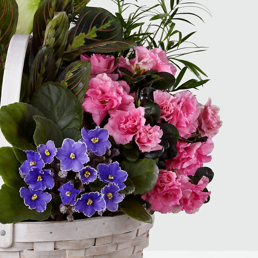 Peaceful Garden Planter – Farmington Center Florist Inc, Farmington MI