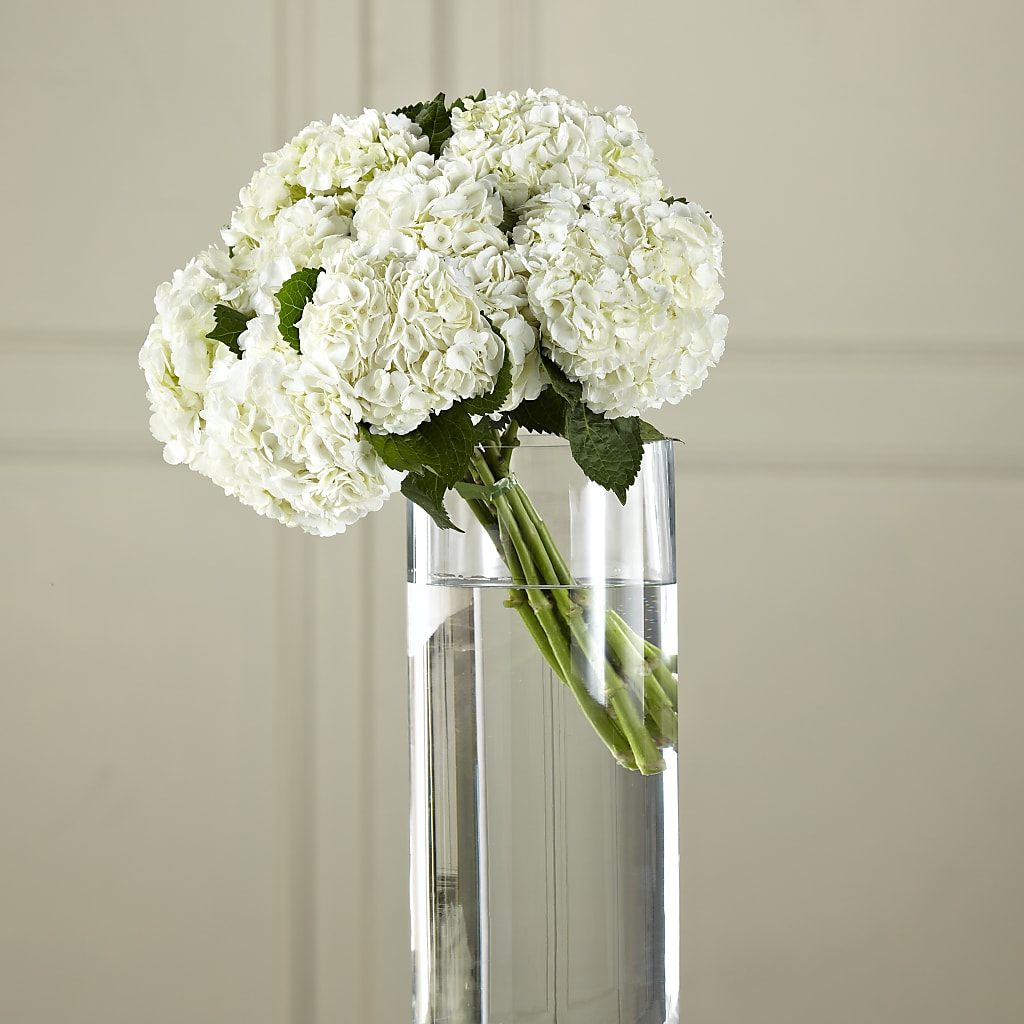 White Hydrangea Hand-Tied Bouquet – Farmington Center Florist Inc, Farmington MI