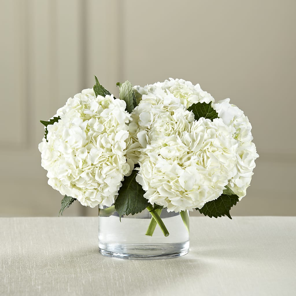 White Hydrangea Bouquet – Farmington Center Florist Inc, Farmington MI