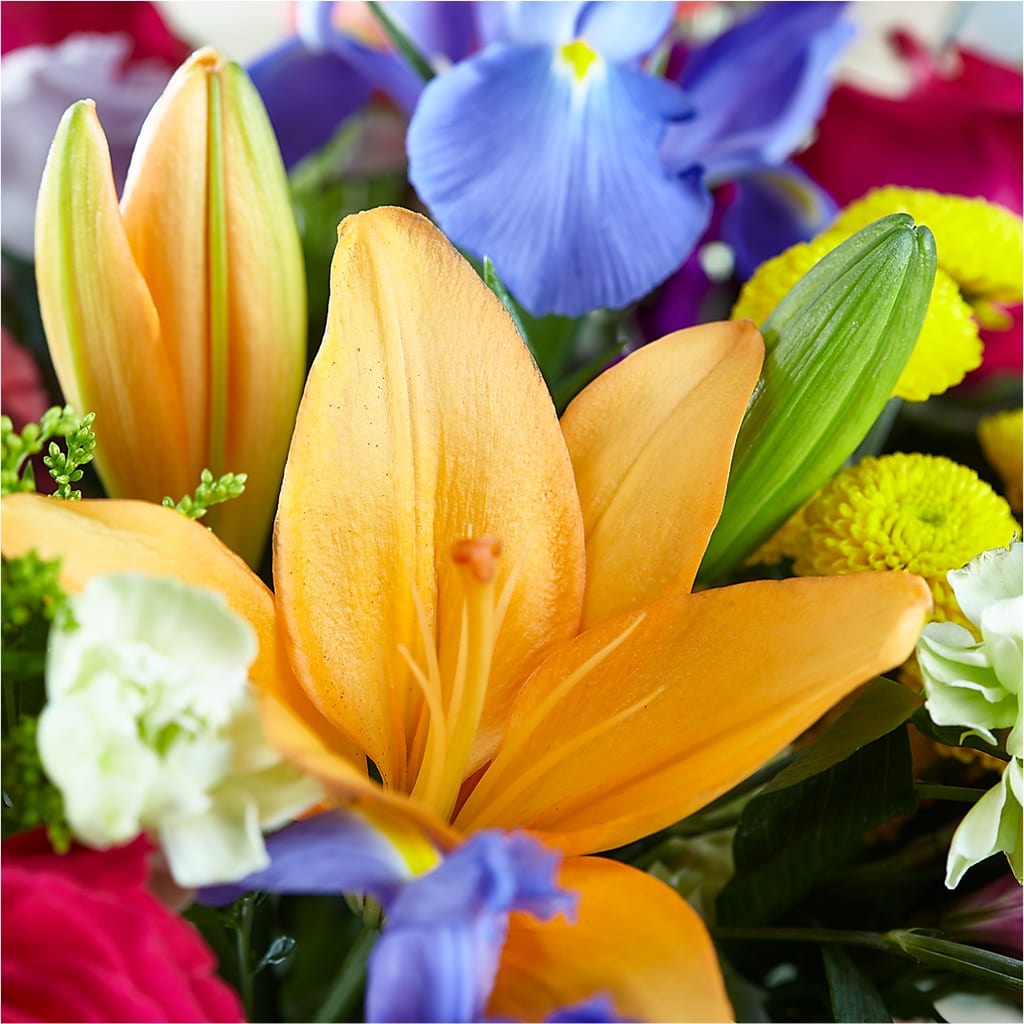Bold & Bright – A Florist Original –  Farmington Center Florist Inc, Farmington MI