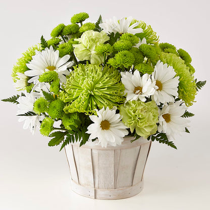 Lucky Charm Basket (Standard) –  Farmington Center Florist Inc, Farmington MI