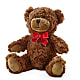 Adorable Plush Bear –  Farmington Center Florist Inc, Farmington MI
