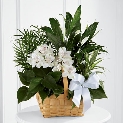 Peace & Serenity Dishgarden –  Farmington Center Florist Inc, Farmington MI
