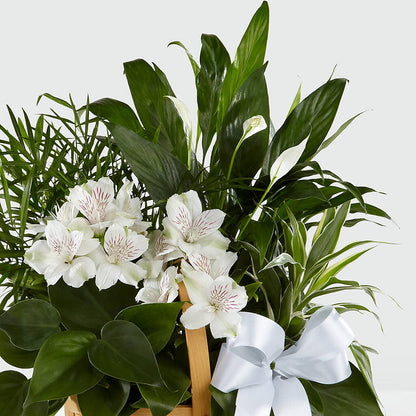 Peace & Serenity Dishgarden –  Farmington Center Florist Inc, Farmington MI