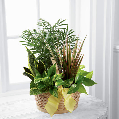 French Garden –  Farmington Center Florist Inc, Farmington MI