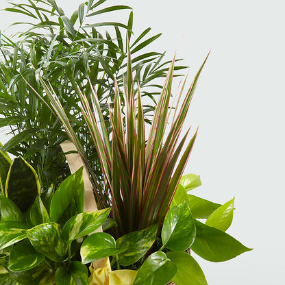 French Garden –  Farmington Center Florist Inc, Farmington MI
