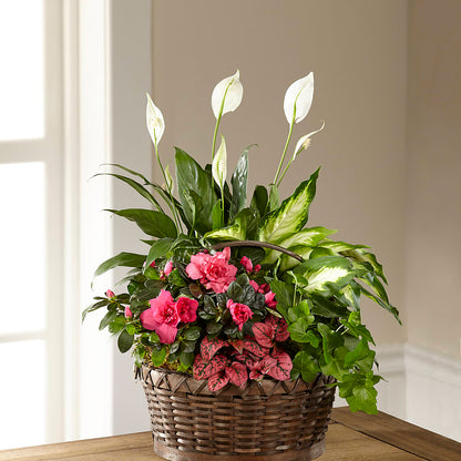 Dream in Pink Dishgarden –  Farmington Center Florist Inc, Farmington MI
