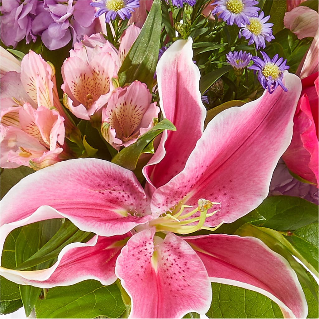 Written in the Stars Bouquet –  Farmington Center Florist Inc, Farmington MI