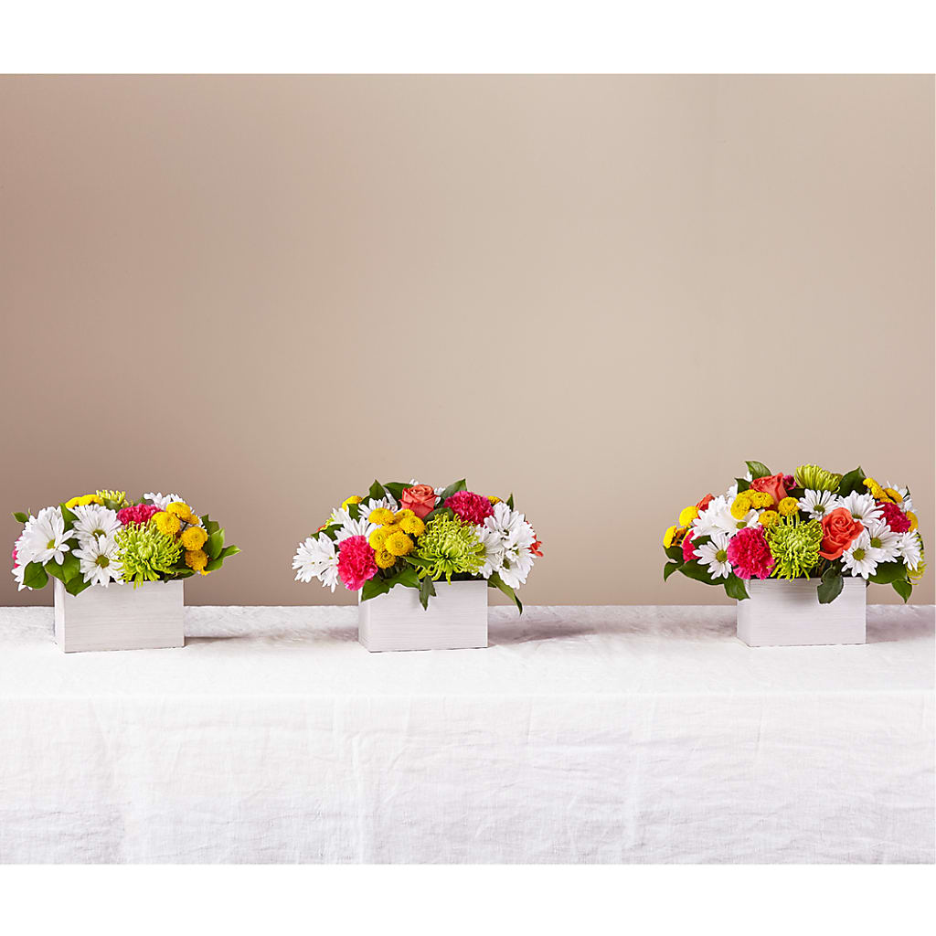 Sorbet Bouquet –  Farmington Center Florist Inc, Farmington MI