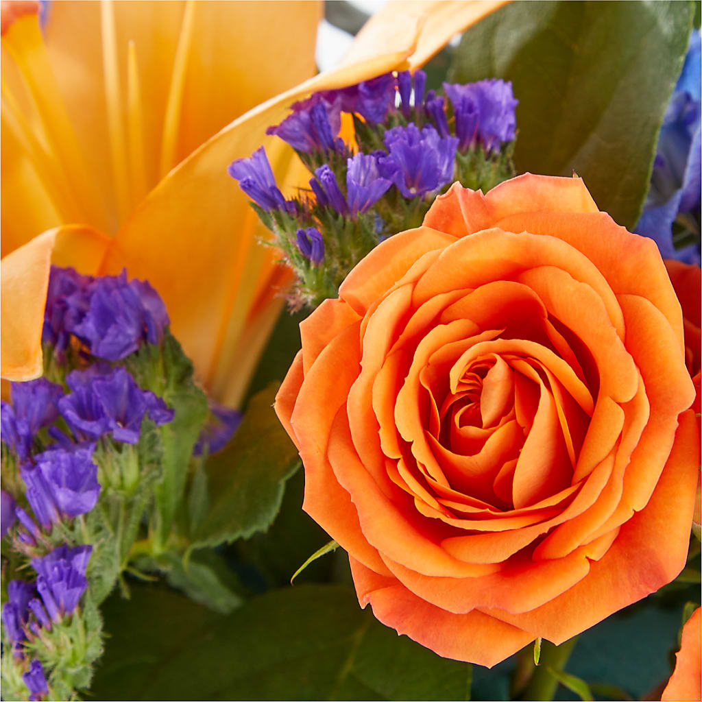 Radiant Citrus Box Bouquet –  Farmington Center Florist Inc, Farmington MI