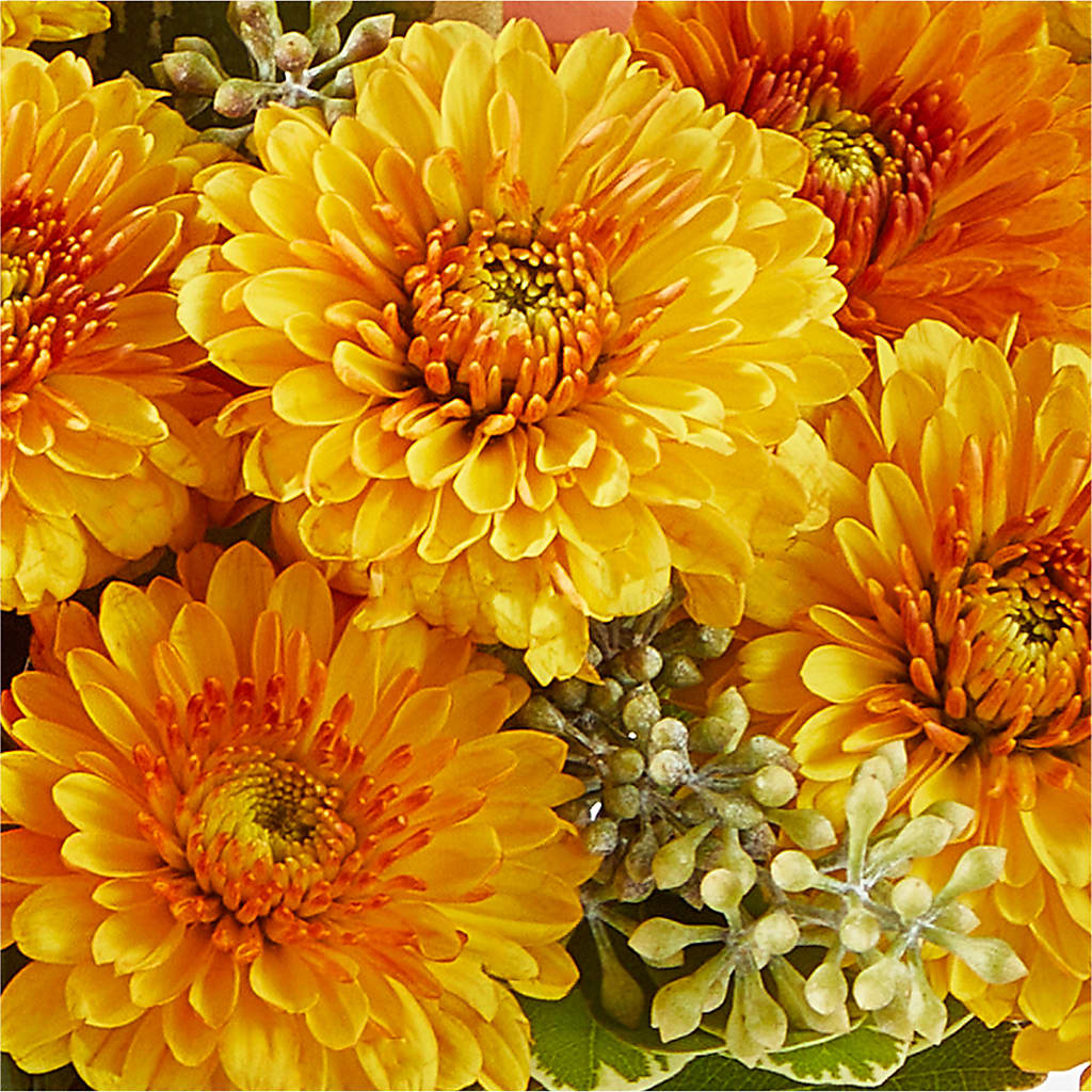 Peachy Pumpkin –  Farmington Center Florist Inc, Farmington MI