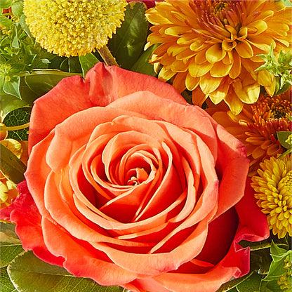 Gourdgeous Pumpkin –  Farmington Center Florist Inc, Farmington MI