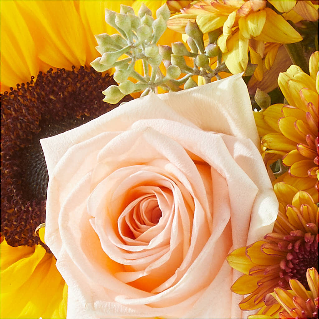 Pumpkin to Talk About Bouquet –  Farmington Center Florist Inc, Farmington MI