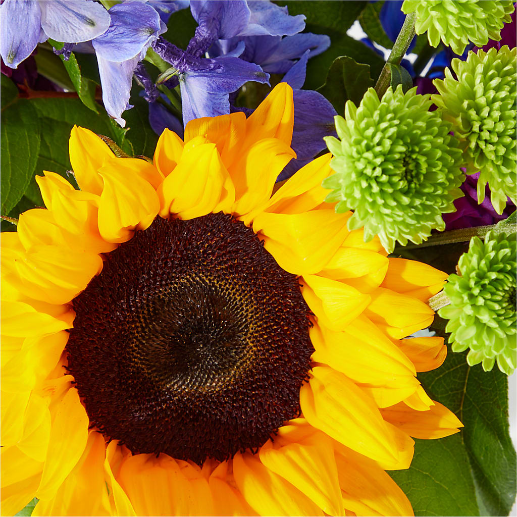 Catching Rays Bouquet –  Farmington Center Florist Inc, Farmington MI