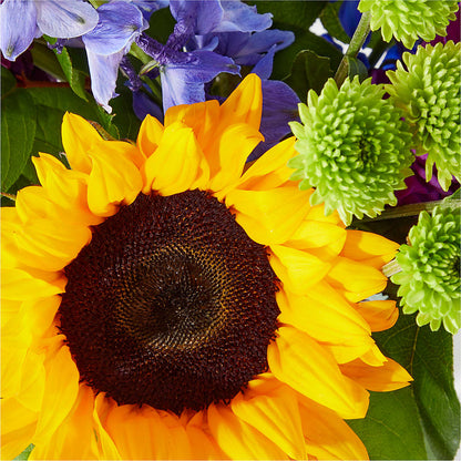 Catching Rays Bouquet –  Farmington Center Florist Inc, Farmington MI
