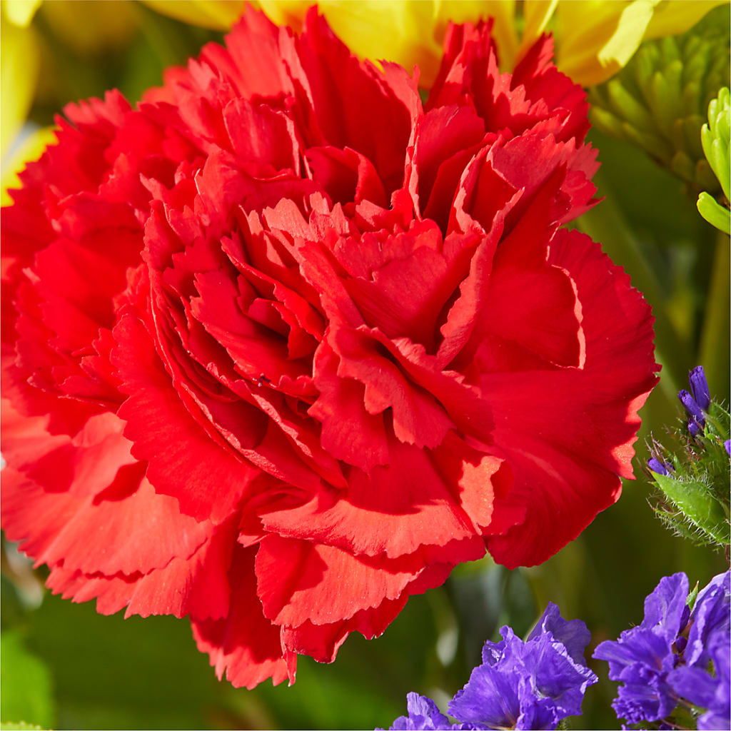 Brighter Days Bouquet –  Farmington Center Florist Inc, Farmington MI
