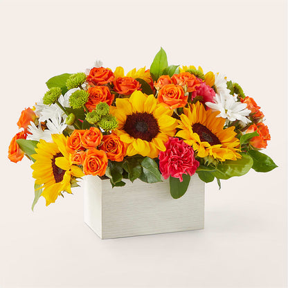 Sun-drenched Blooms Box Bouquet –  Farmington Center Florist Inc, Farmington MI