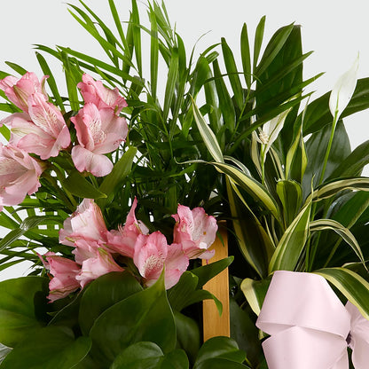 Living Spirit Dishgarden –  Farmington Center Florist Inc, Farmington MI