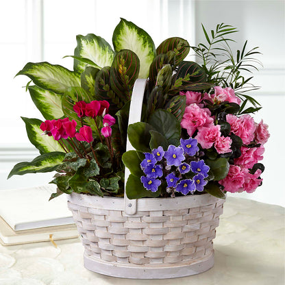 Peaceful Garden Planter –  Farmington Center Florist Inc, Farmington MI