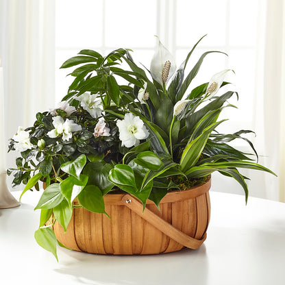 Serene Dishgarden –  Farmington Center Florist Inc, Farmington MI