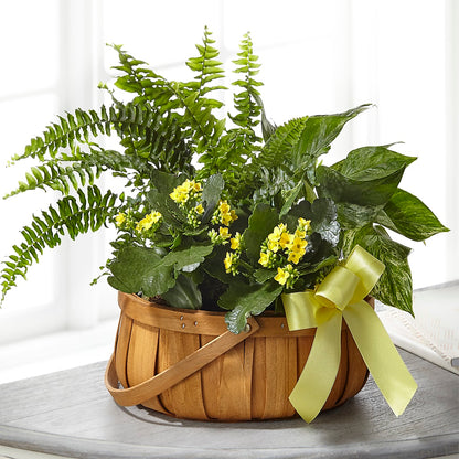 Always Dear Dishgarden –  Farmington Center Florist Inc, Farmington MI