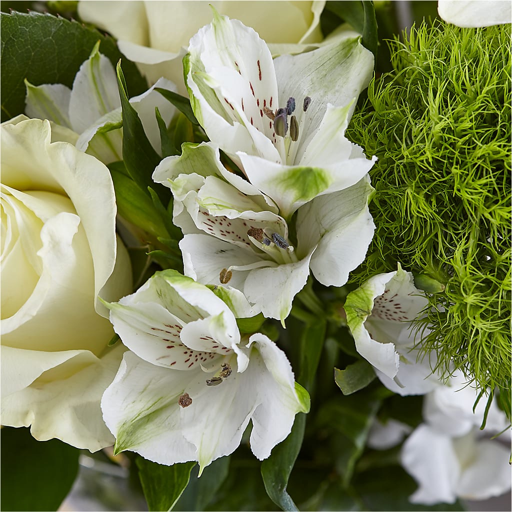 Classic Ivory – A Florist Original –  Farmington Center Florist Inc, Farmington MI