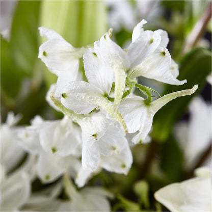 Classic Ivory – A Florist Original –  Farmington Center Florist Inc, Farmington MI