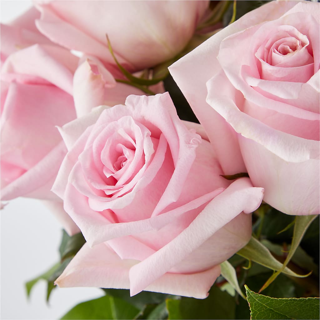 Picture Perfect Pink Rose Bouquet –  Farmington Center Florist Inc, Farmington MI
