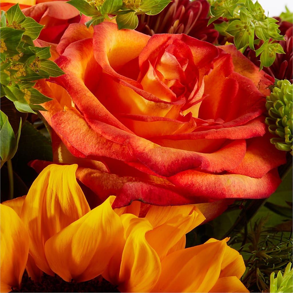 Harvest Festival Bouquet –  Farmington Center Florist Inc, Farmington MI