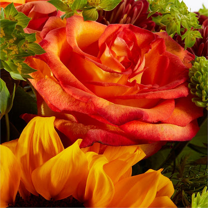 Harvest Festival Bouquet –  Farmington Center Florist Inc, Farmington MI