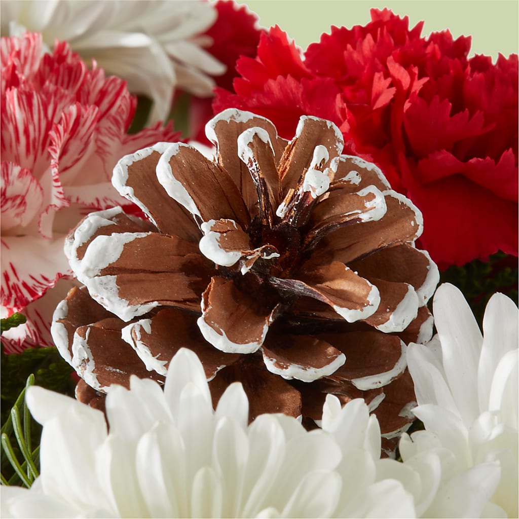 Candy Cane Lane Bouquet –  Farmington Center Florist Inc, Farmington MI