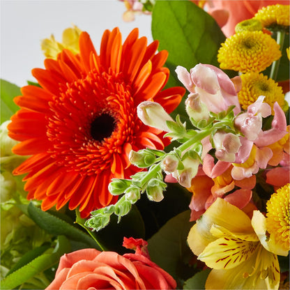 Autumn Sunshine Bouquet –  Farmington Center Florist Inc, Farmington MI