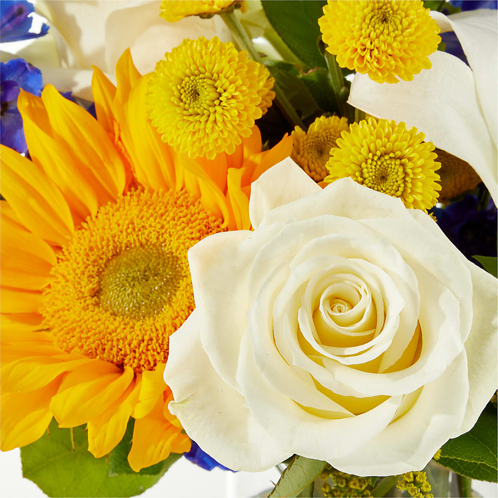 Stargazing Bouquet –  Farmington Center Florist Inc, Farmington MI