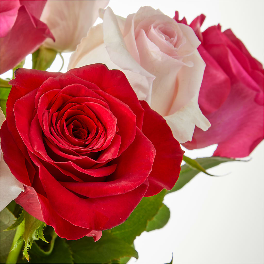 Charming Rose Bouquet –  Farmington Center Florist Inc, Farmington MI