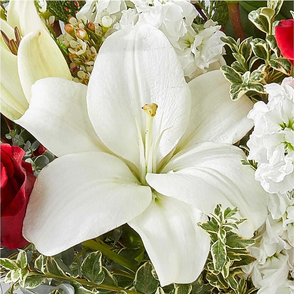 Twinkle Lights Bouquet –  Farmington Center Florist Inc, Farmington MI