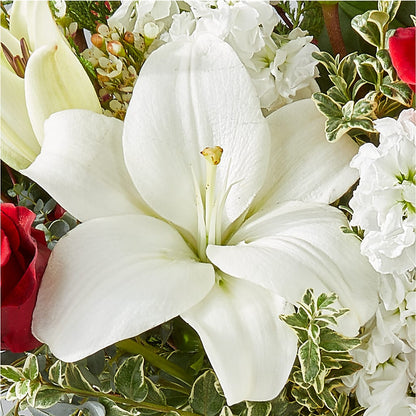 Twinkle Lights Bouquet –  Farmington Center Florist Inc, Farmington MI