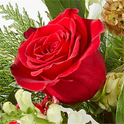Deck the Halls Bouquet –  Farmington Center Florist Inc, Farmington MI